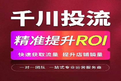 某公司信息流广告的精准投放与效果评估